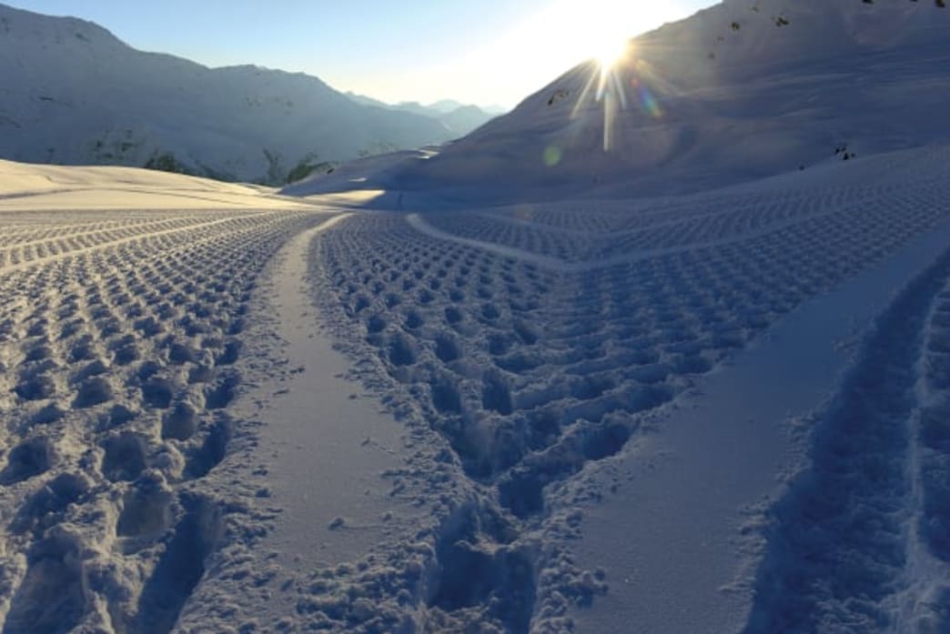 Snow Visionary