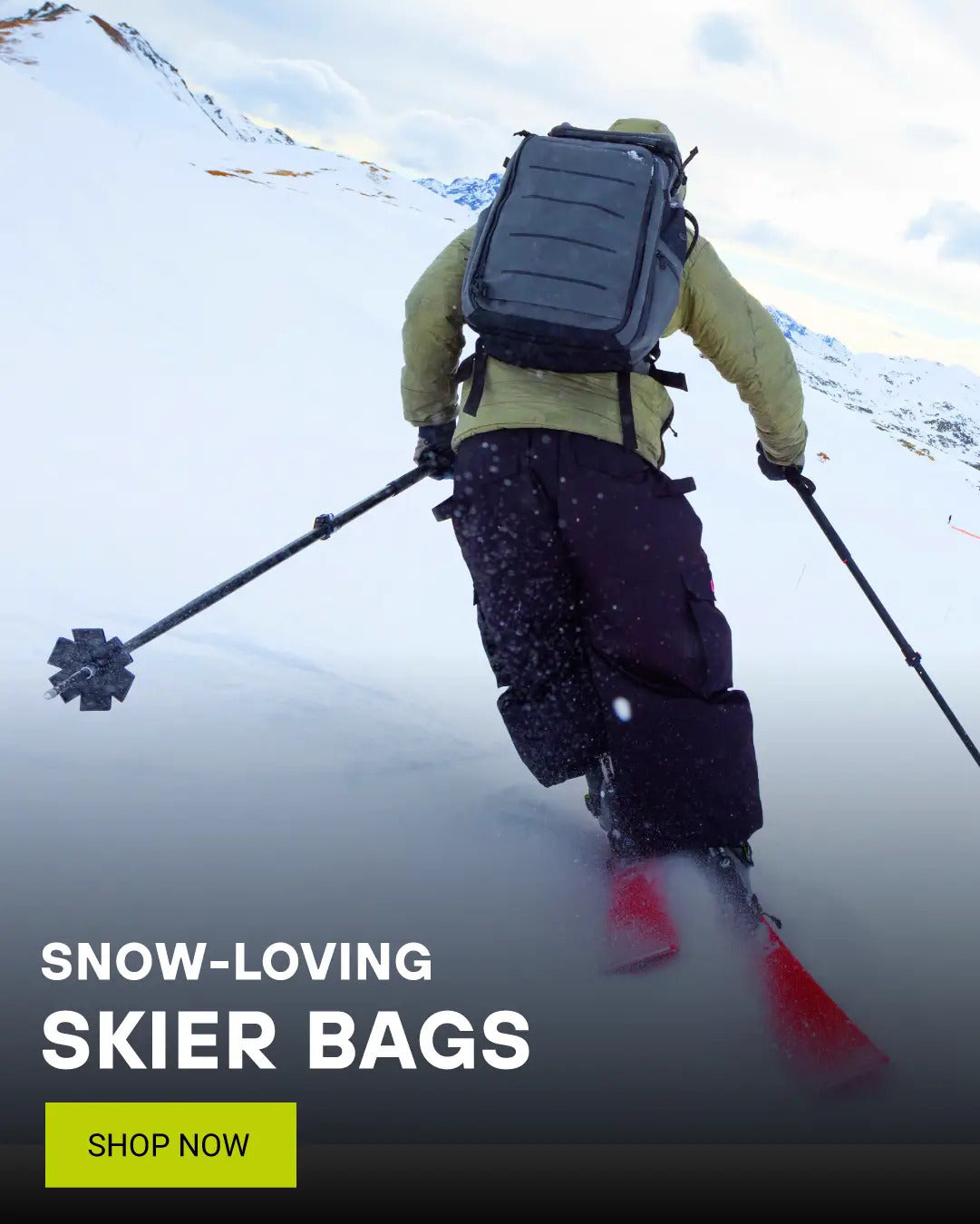 Skier Bags