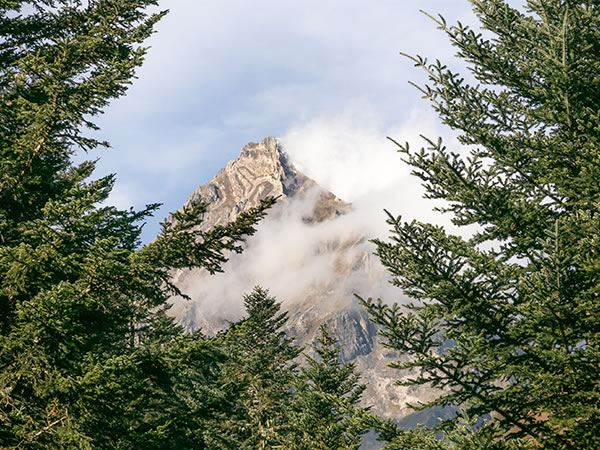 Earth Sustainable Green Outdoors