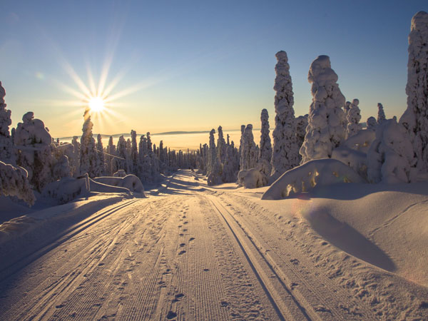 Snow In Sunlight Pushing Boundaries Trail