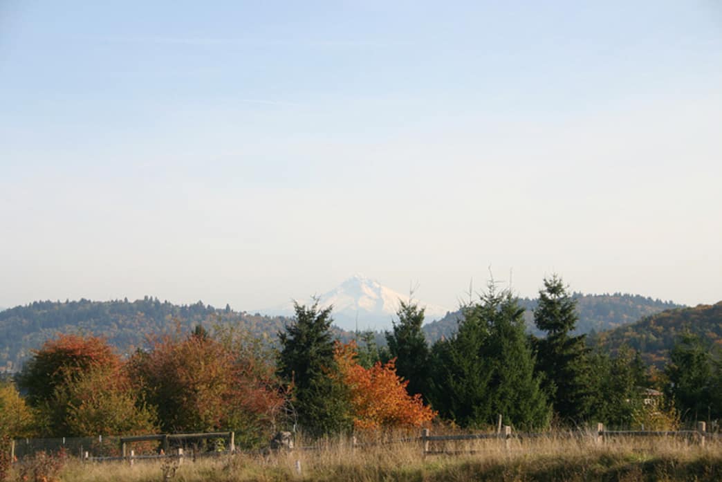 Powell Butte Nature Park offers breathtaking views of Mount Hood.