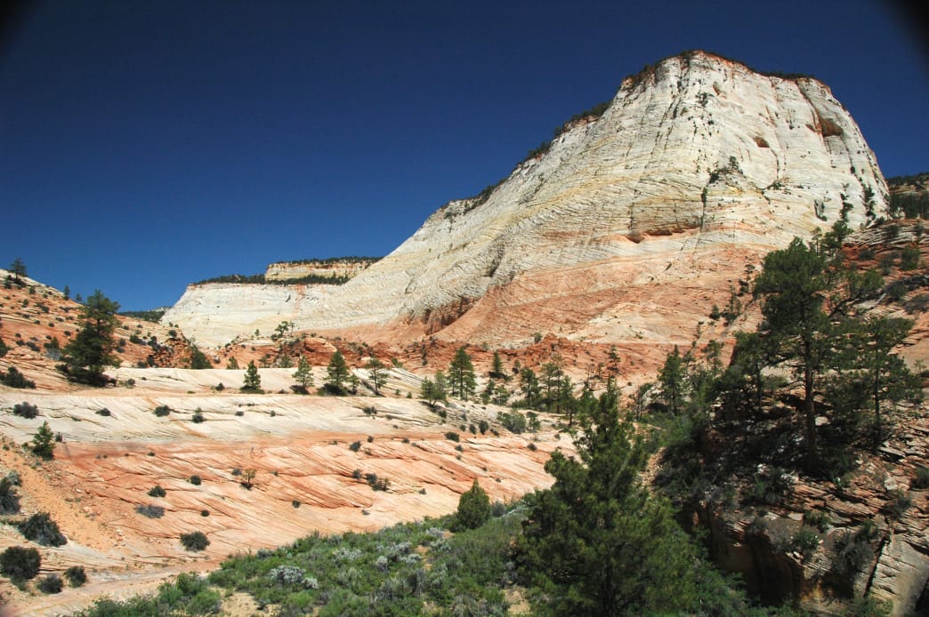 The White Cliffs in Clear Creek Valley.