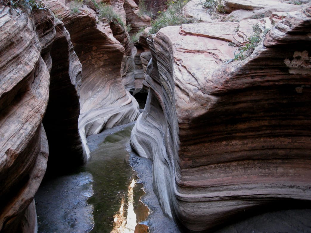 The East Rim Trail descends through Echo Canyon.
