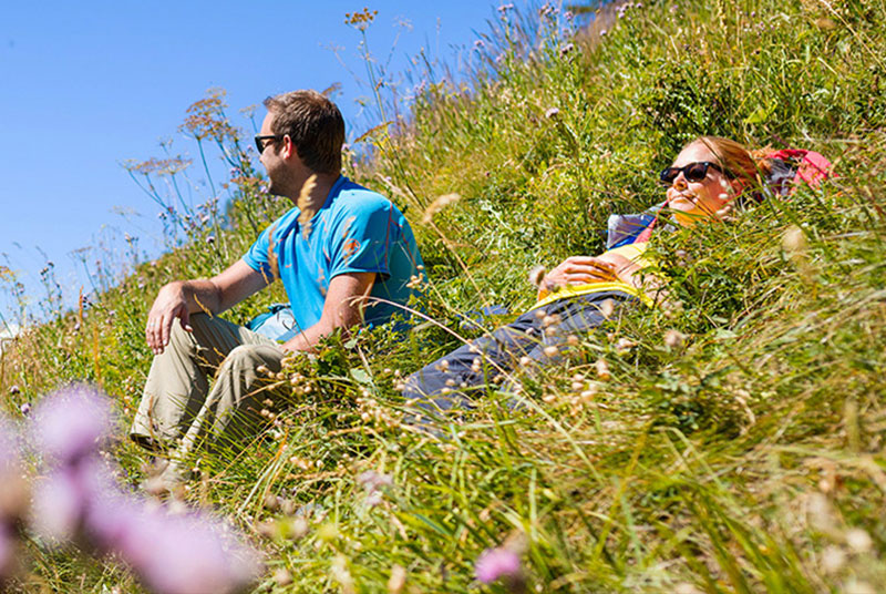 Explore the Swiss Alps