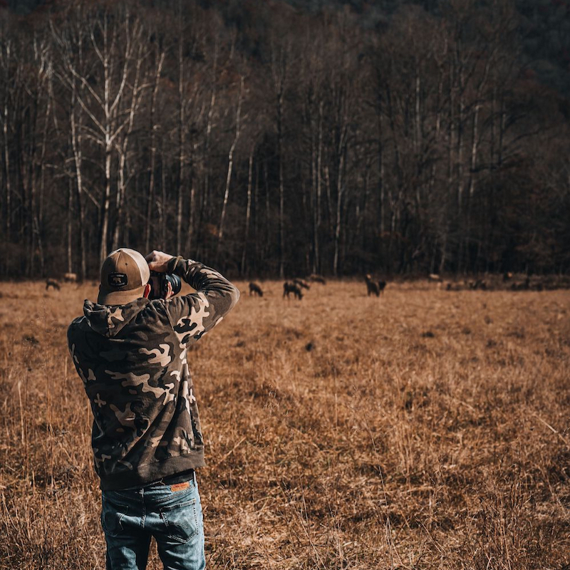 Man photographing elk in valley