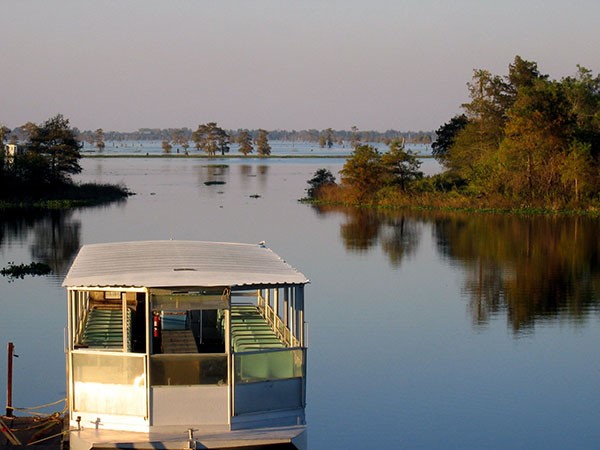 Louisiana wetlands