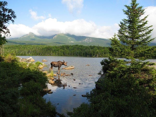 Lake in Baxter State Park