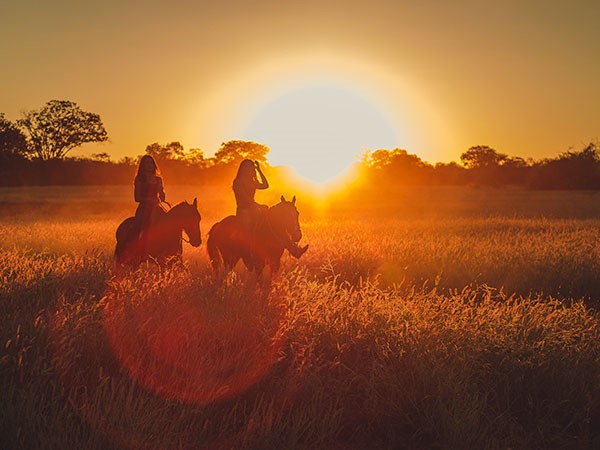 2 people on horses at sunset